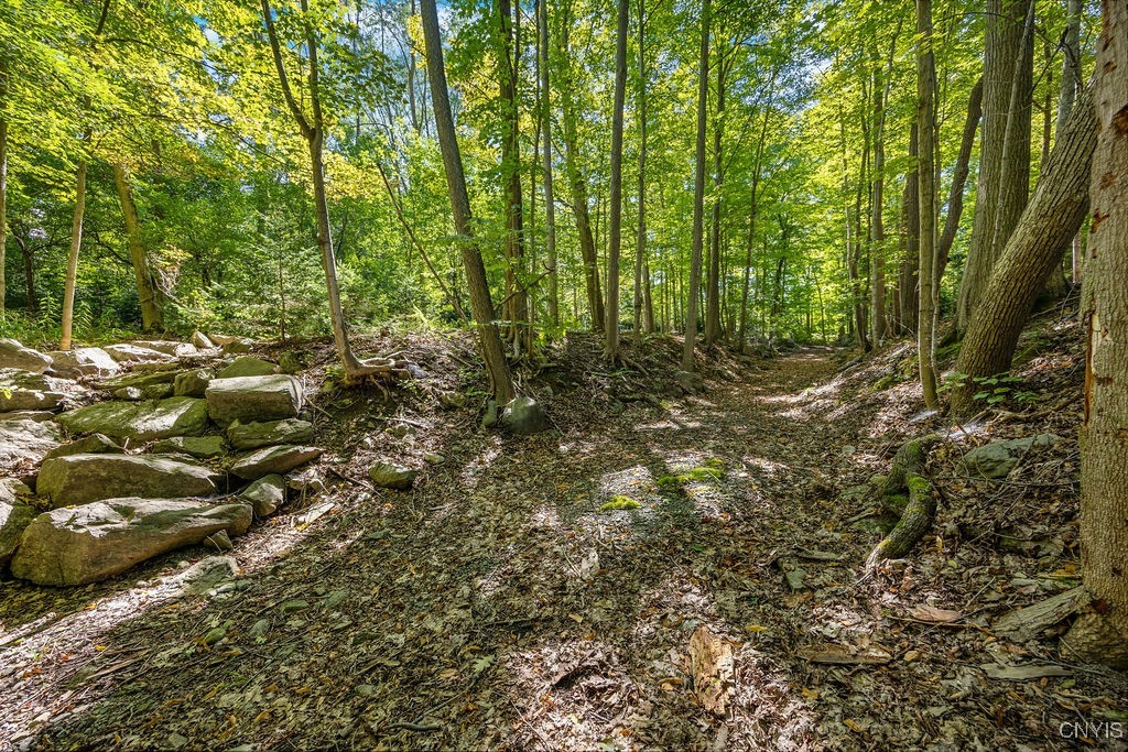 2a Pompey Center Road Manlius, NY 13104 - Photo 13 of 14