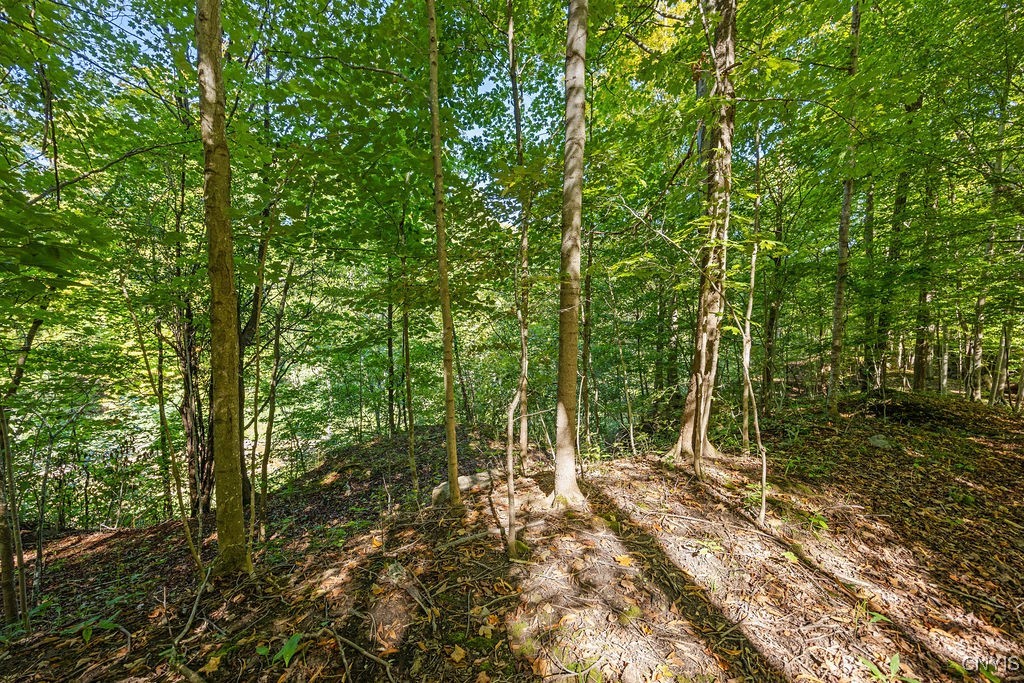 2a Pompey Center Road Manlius, NY 13104 - Photo 14 of 14