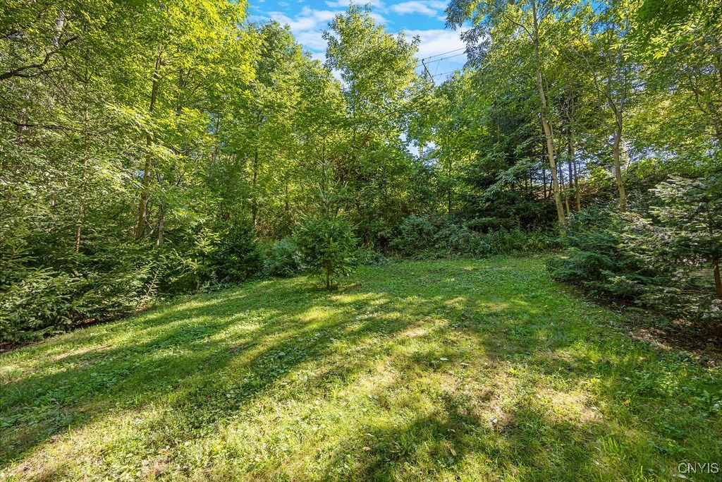 2a Pompey Center Road Manlius, NY 13104 - Photo 4 of 14