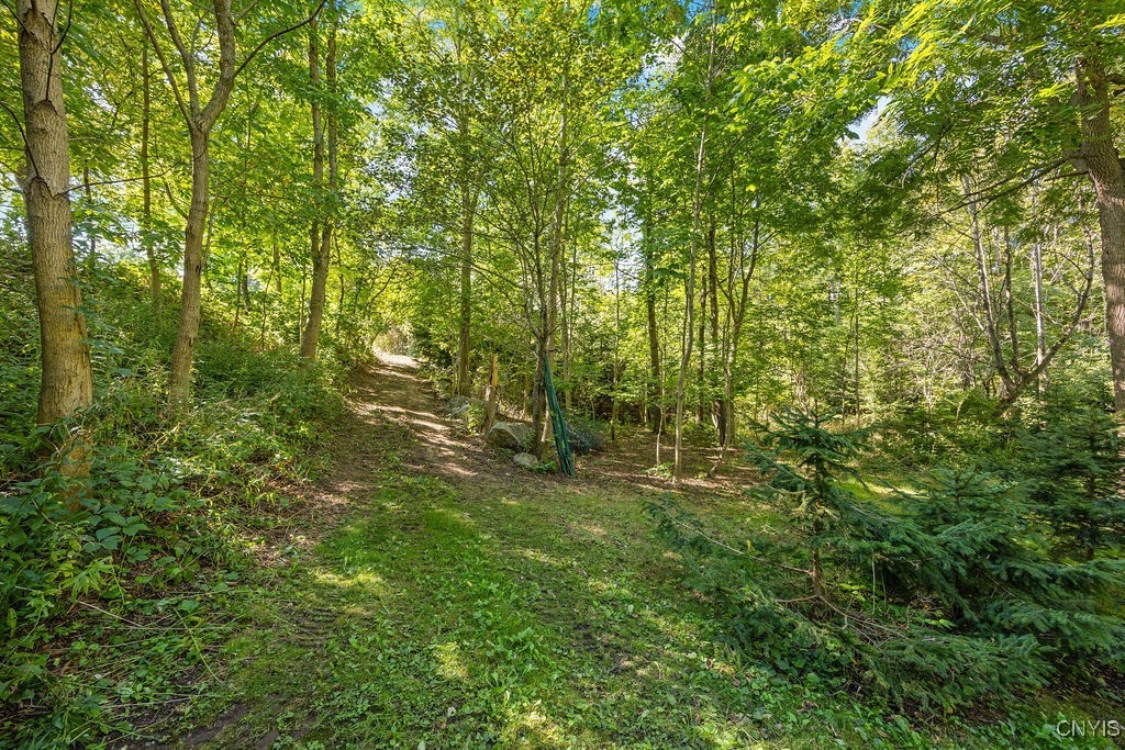 2a Pompey Center Road Manlius, NY 13104 - Photo 10 of 14