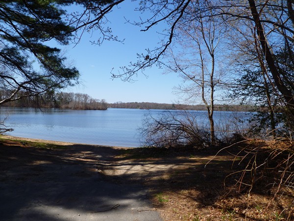 47 Evergreen Road Norton, MA 02766 - Photo 16 of 17 a view of a backyard of a house