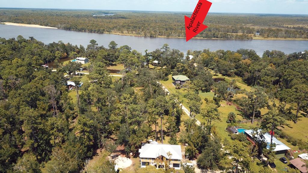 2667 Bluff Road Apalachicola, FL 32320 - Photo 6 of 44