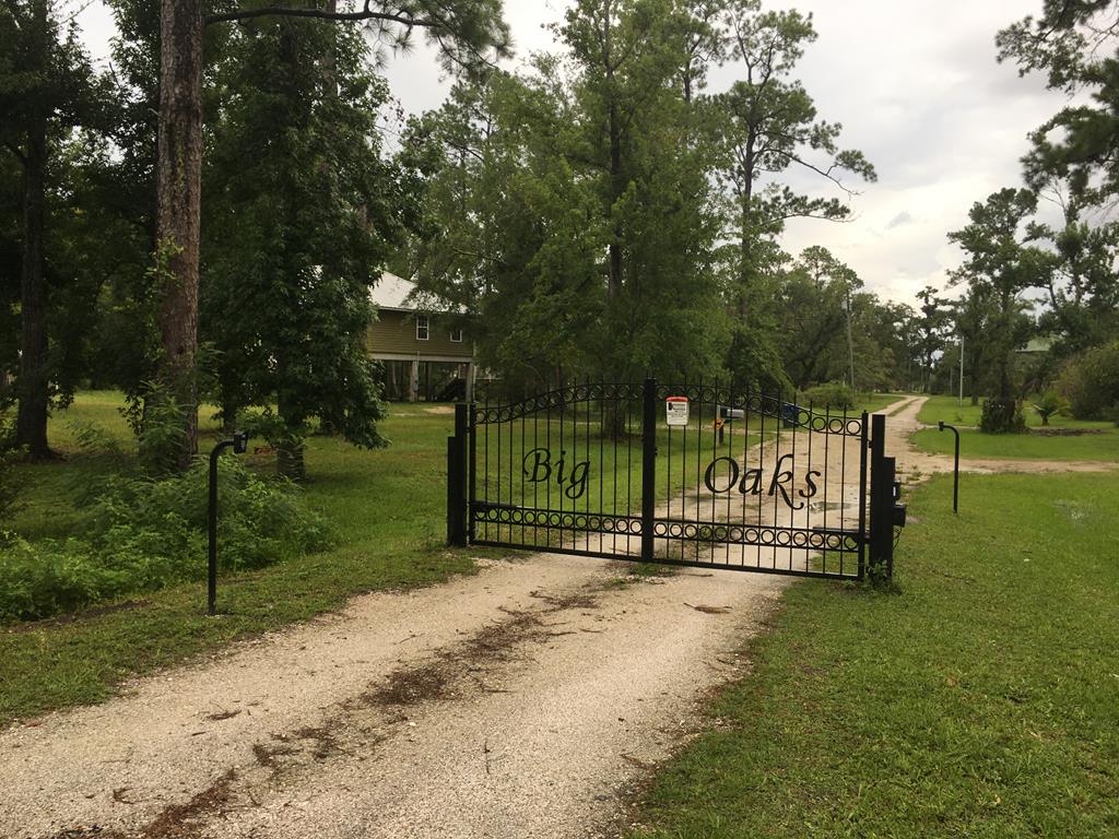 2667 Bluff Road Apalachicola, FL 32320 - Photo 10 of 44
