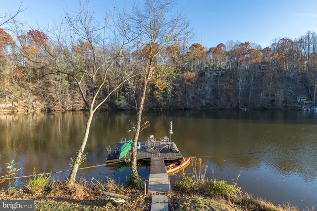 a view of a large body of water with a bench next to a large trees