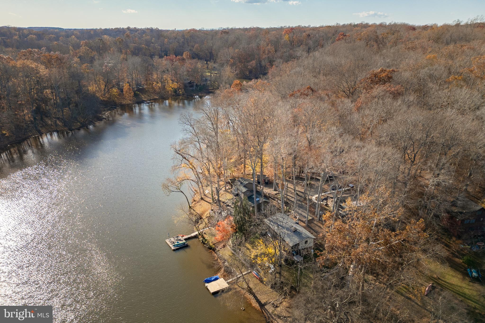 11999 Manning Road Manassas, VA 20112 - Photo 46 of 76 a view of a forest with a tree