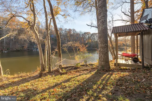 a view of a lake with a tree