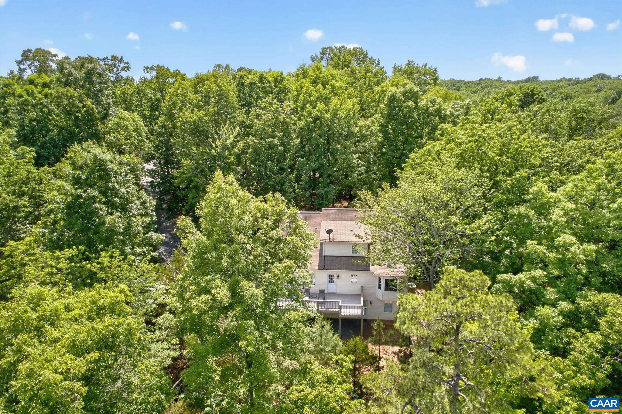 42 Cliftwood Road Palmyra, VA 22963 - Photo 44 of 63