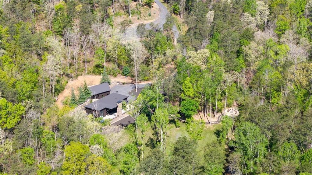 545 Cowart Mountain Road Jasper, GA 30143 - Photo 3 of 48 Gallery Image 3
