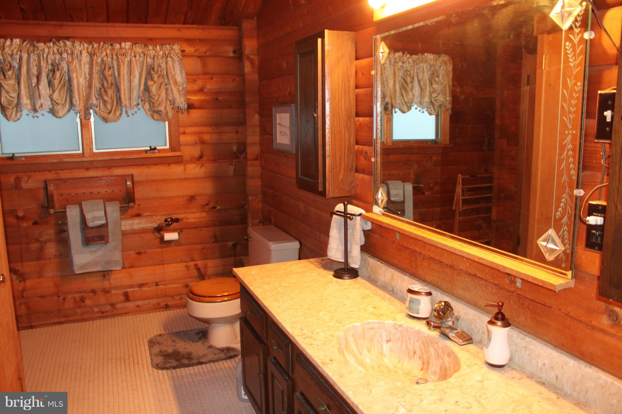 113 Grandview Road Washington, VA 22747 - Photo 14 of 25 Bath