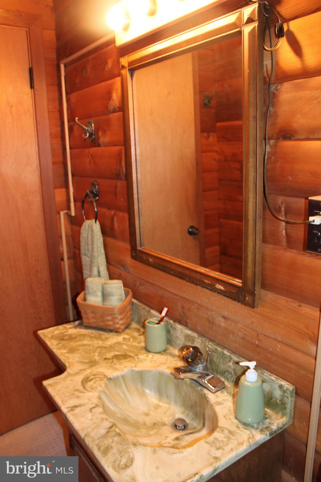 113 Grandview Road Washington, VA 22747 - Photo 17 of 25 Bath
