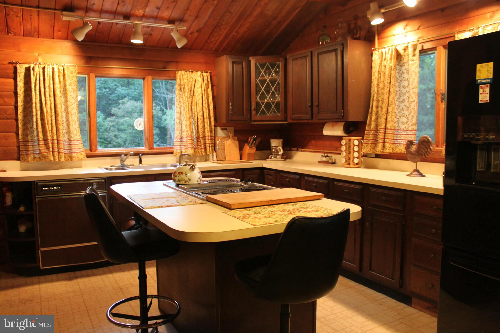 113 Grandview Road Washington, VA 22747 - Photo 3 of 25 Kitchen
