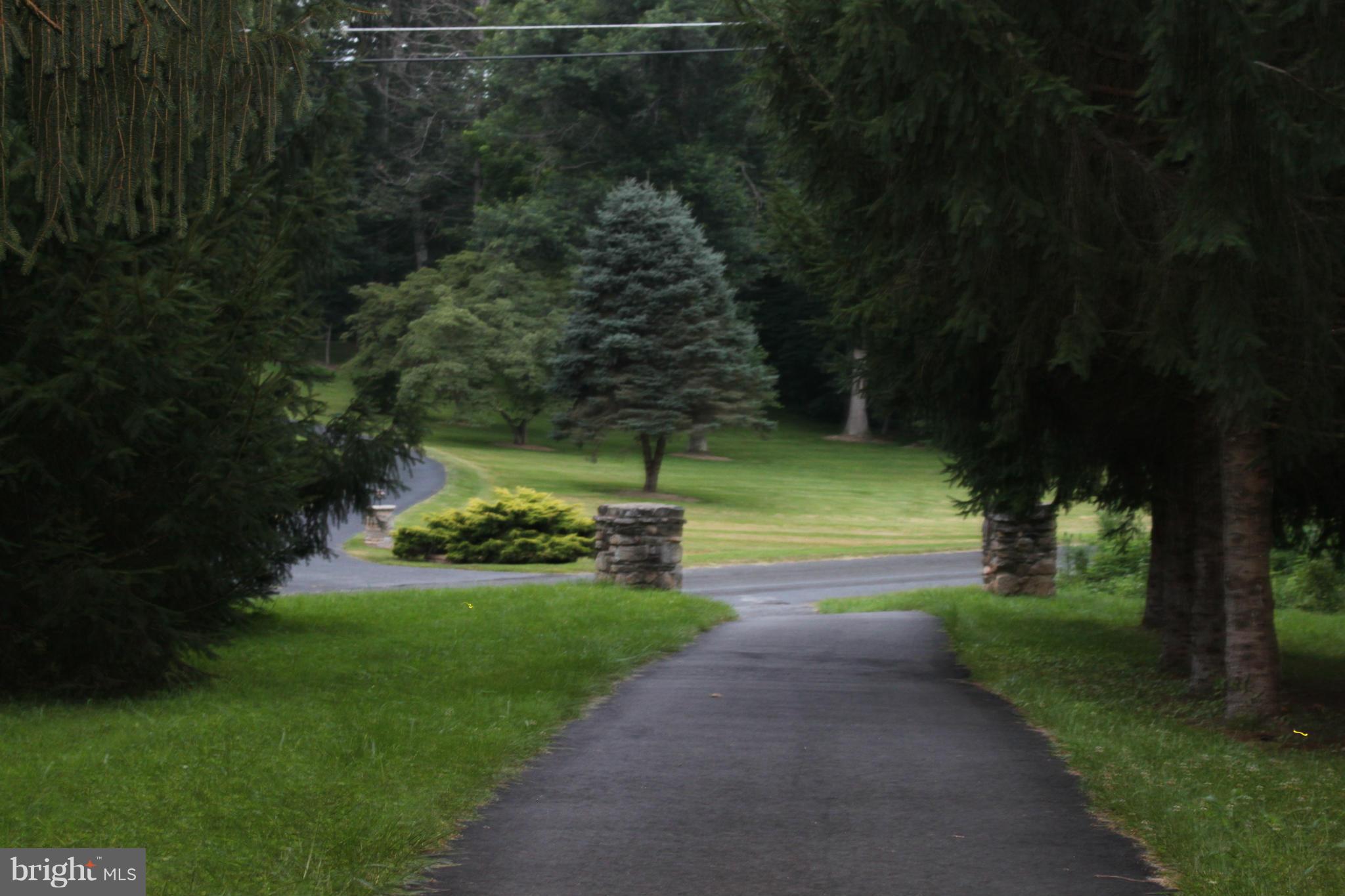 113 Grandview Road Washington, VA 22747 - Photo 25 of 25 Driveway leaving house