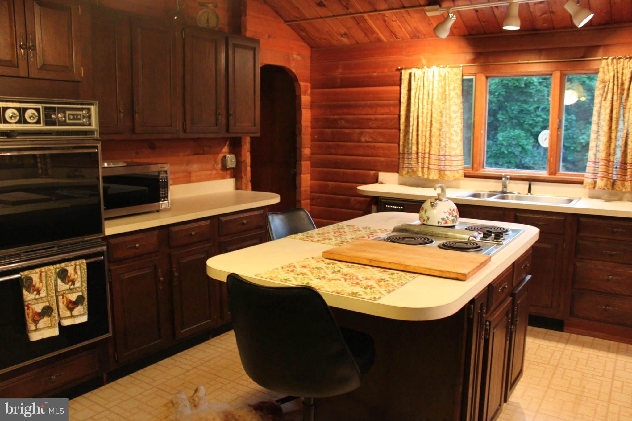 113 Grandview Road Washington, VA 22747 - Photo 4 of 25 Kitchen