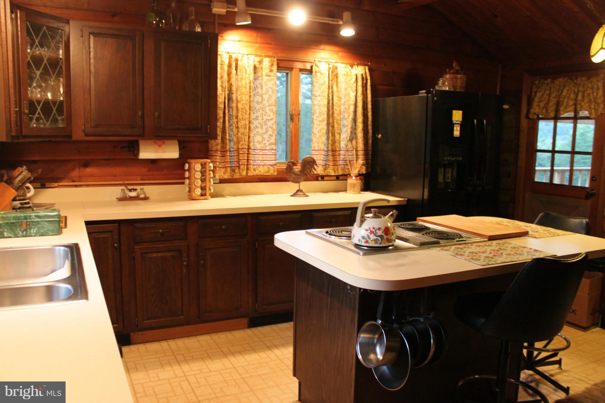 113 Grandview Road Washington, VA 22747 - Photo 5 of 25 Kitchen