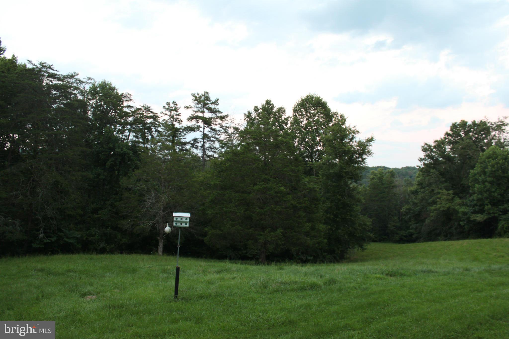 113 Grandview Road Washington, VA 22747 - Photo 10 of 25 View