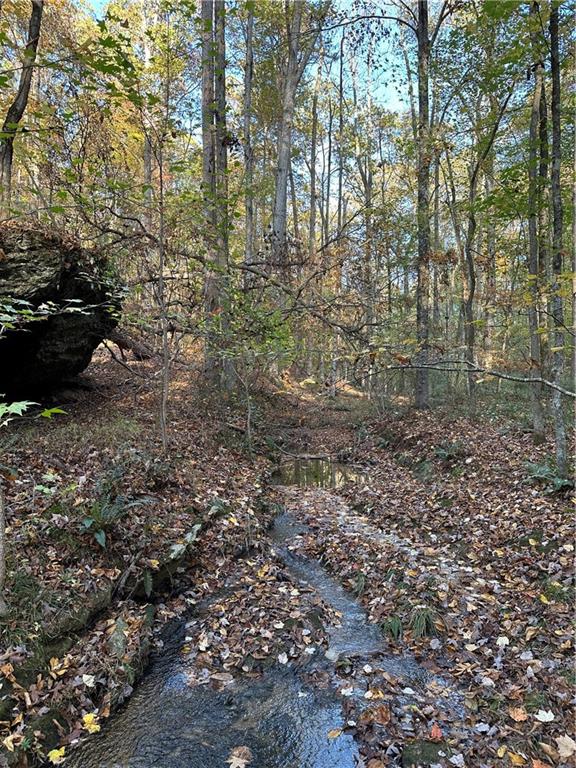 1806 Browning Road Rockmart, GA 30153 - Photo 38 of 97