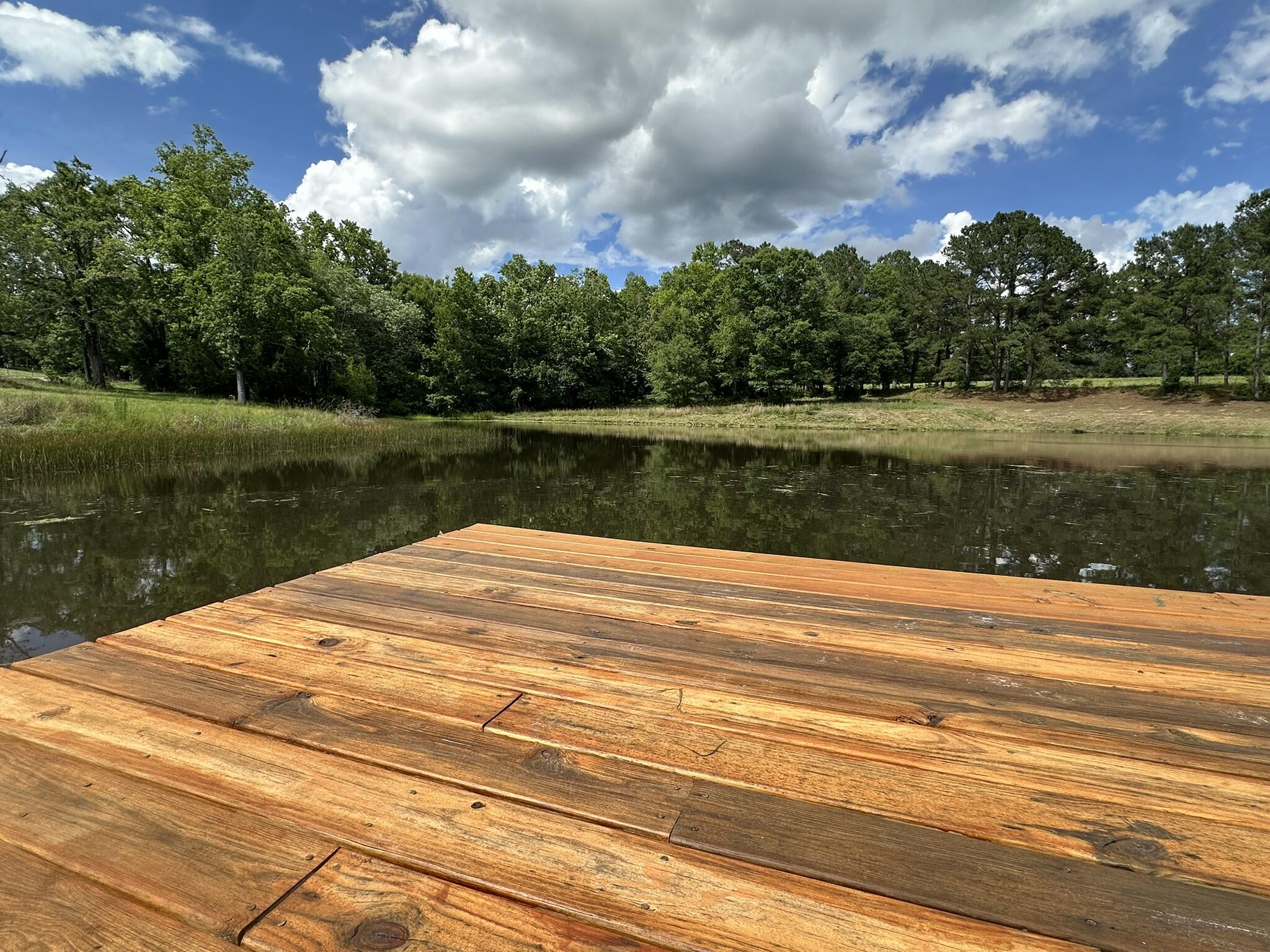 20 / New Ebenezer Road Florala, AL 36442 - Photo 41 of 46 IMG_9987