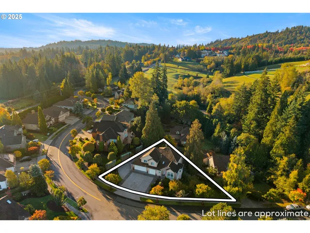 a view of a house with a yard and potted plants
