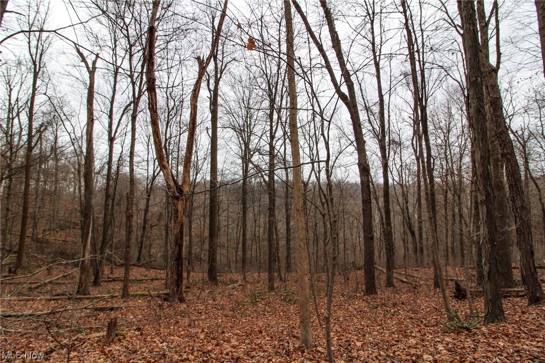 0 Mount Carmel Rdg Road St. Marys, WV 26170 - Photo 5 of 29 View of mother earth's splendor