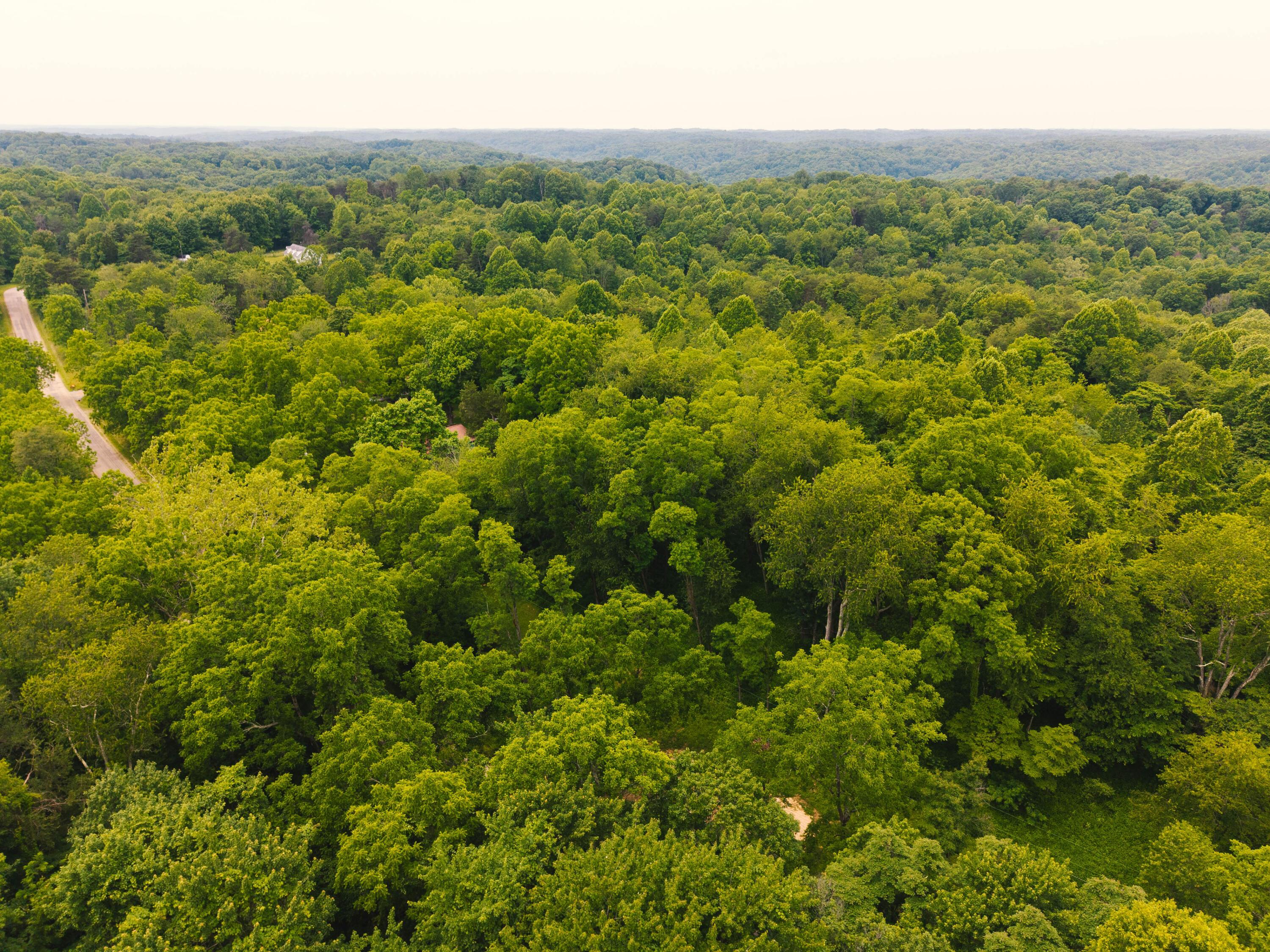 0 Unger Road, Unit LOT F Logan, OH 43138 - Photo 4 of 14