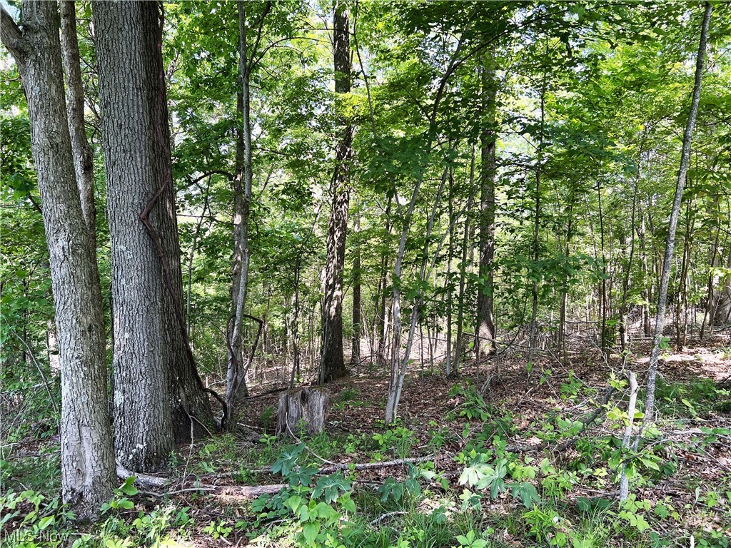 0 Camp Road Southeast Port Washington, OH 43837 - Photo 10 of 16 Gallery Image 10