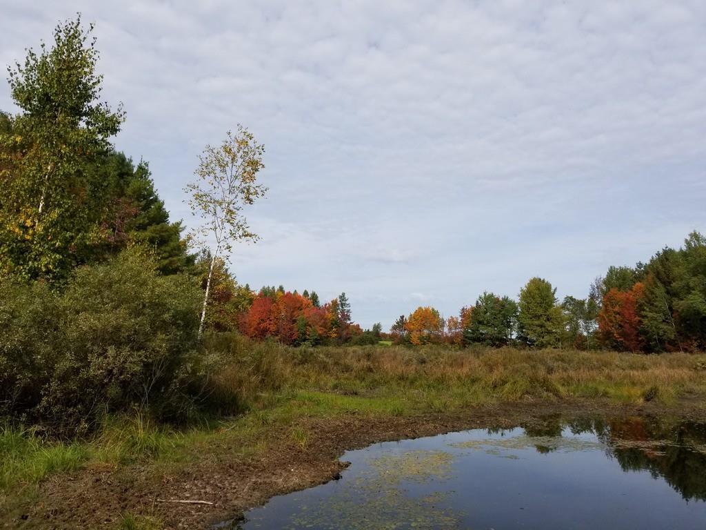 2089 Sigma Road Southeast Kalkaska, MI 49646 - Photo 16 of 57 1905734-15.JPG