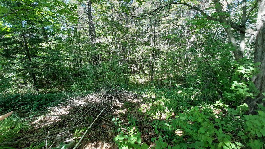 77 Portland Road Bridgton, ME 04009 - Photo 33 of 37 Yard