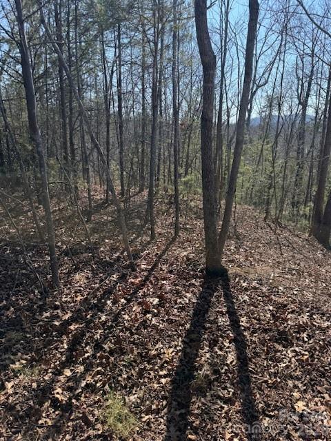 0 Dobsons Knob Loop Road Marion, NC 28752 - Photo 3 of 6