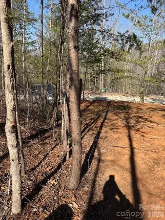 a view of a yard with trees