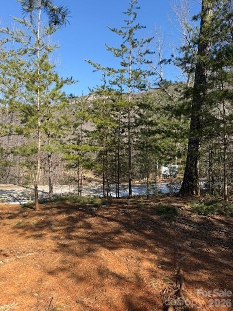 0 Dobsons Knob Loop Road Marion, NC 28752 - Photo 5 of 6