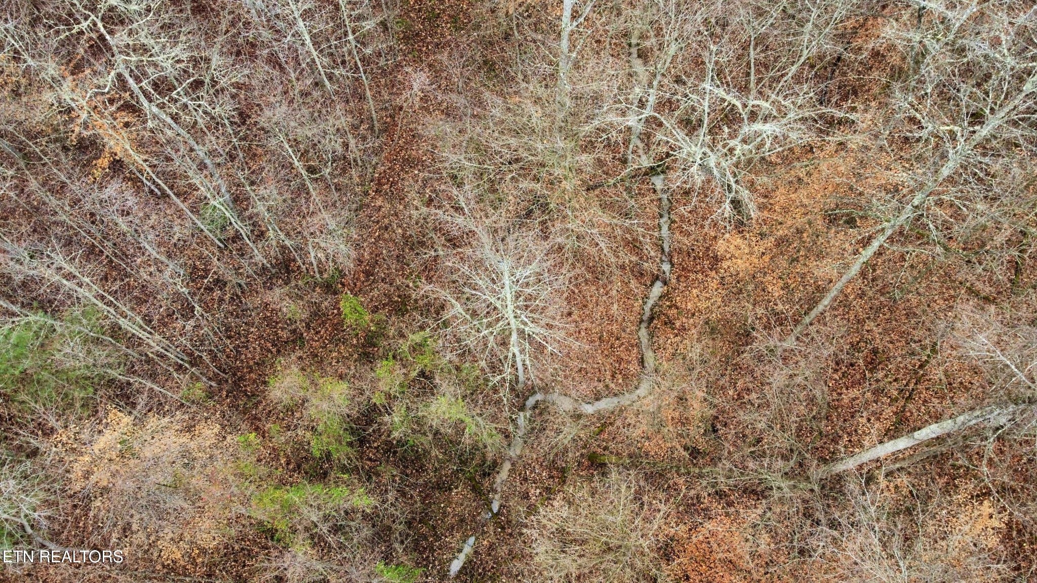 0 Rock House Road Pioneer, TN 37847 - Photo 6 of 14 Gallery Image 6
