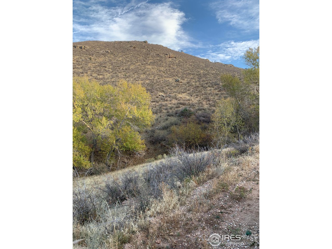 1 Eagle Nest Road Laporte, CO 80535 - Photo 4 of 6 Gallery Image 4