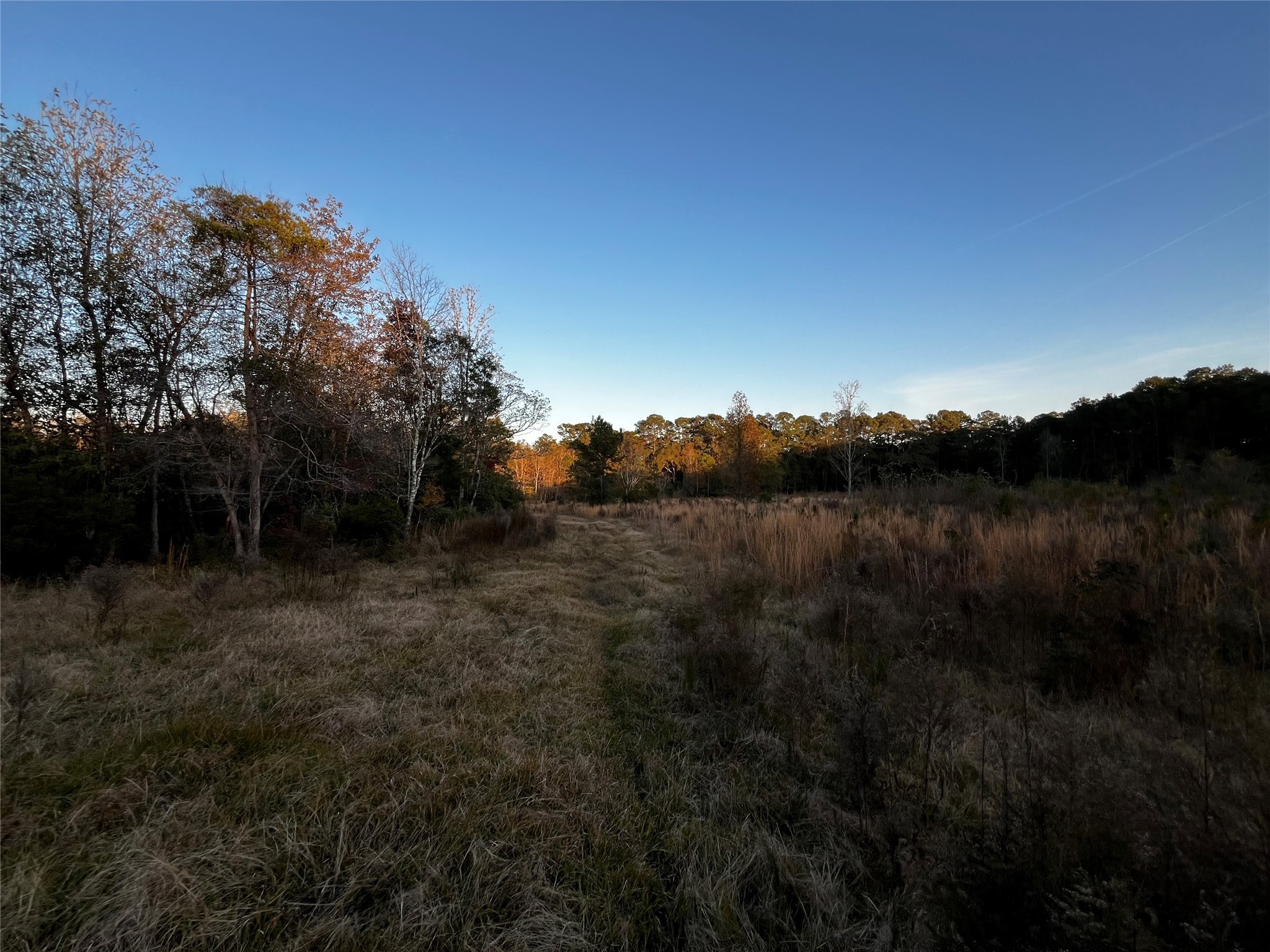 231 County Road 2190 Cleveland, TX 77327 - Photo 15 of 35 a view of lake with green space
