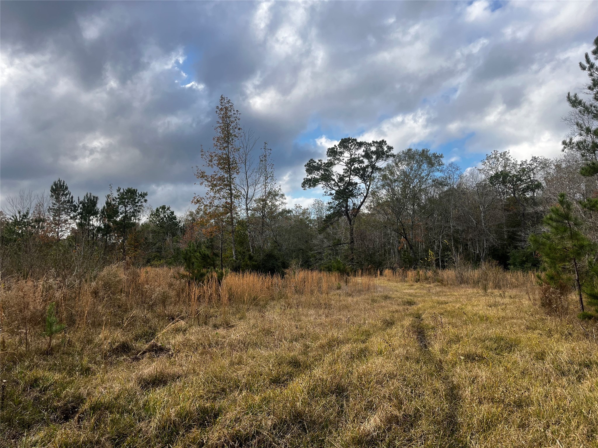 231 County Road 2190 Cleveland, TX 77327 - Photo 19 of 35 a view of lake view and mountain