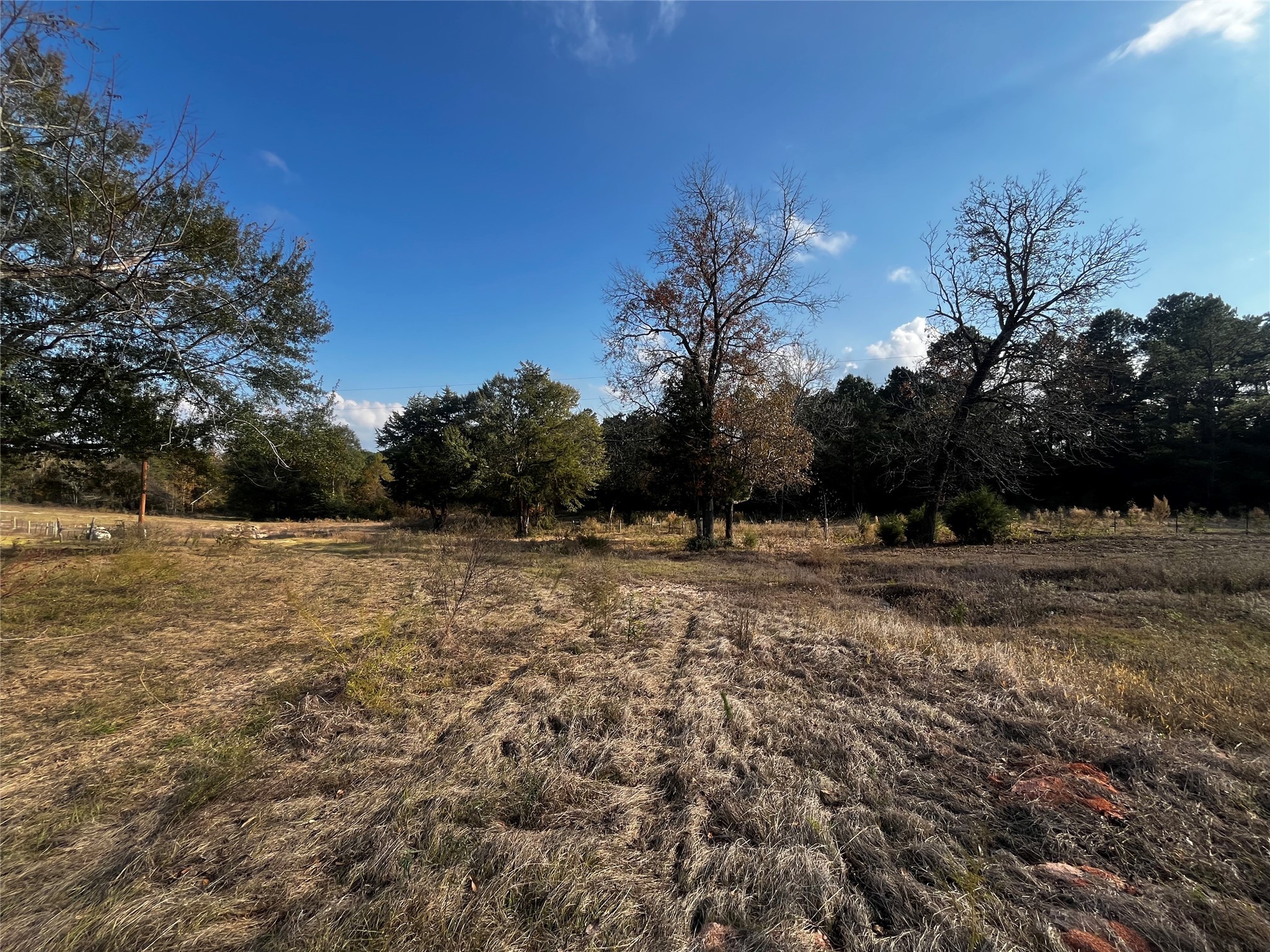 231 County Road 2190 Cleveland, TX 77327 - Photo 25 of 35 a view of dirt field with trees