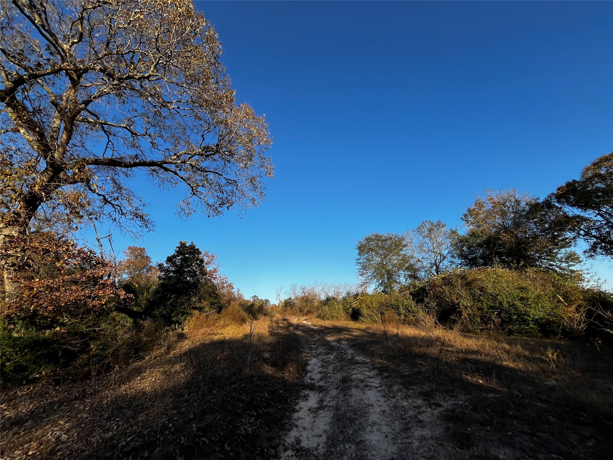 231 County Road 2190 Cleveland, TX 77327 - Photo 27 of 35 a view of a houses of a yard