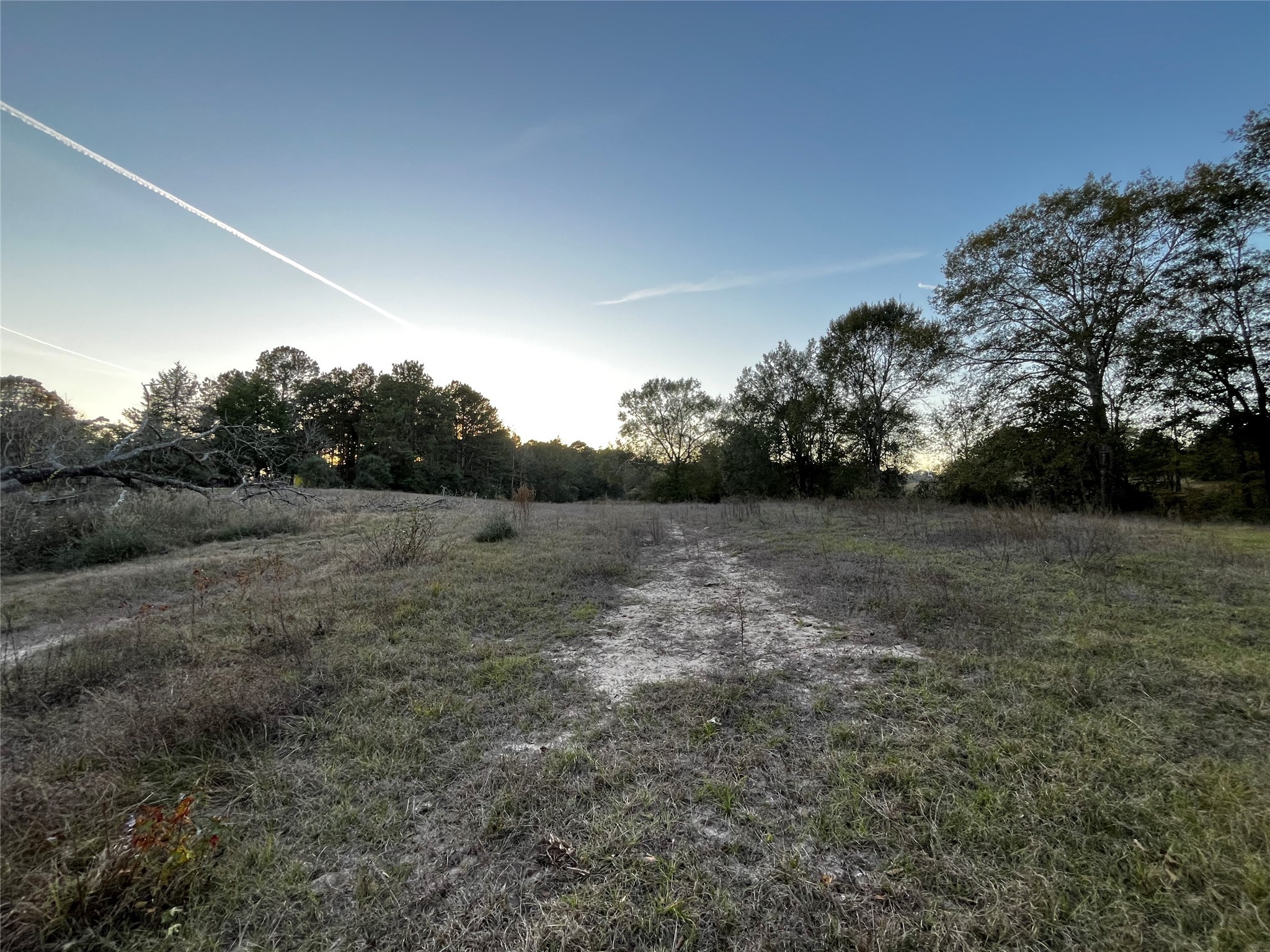 231 County Road 2190 Cleveland, TX 77327 - Photo 28 of 35 a view of a field with trees in background