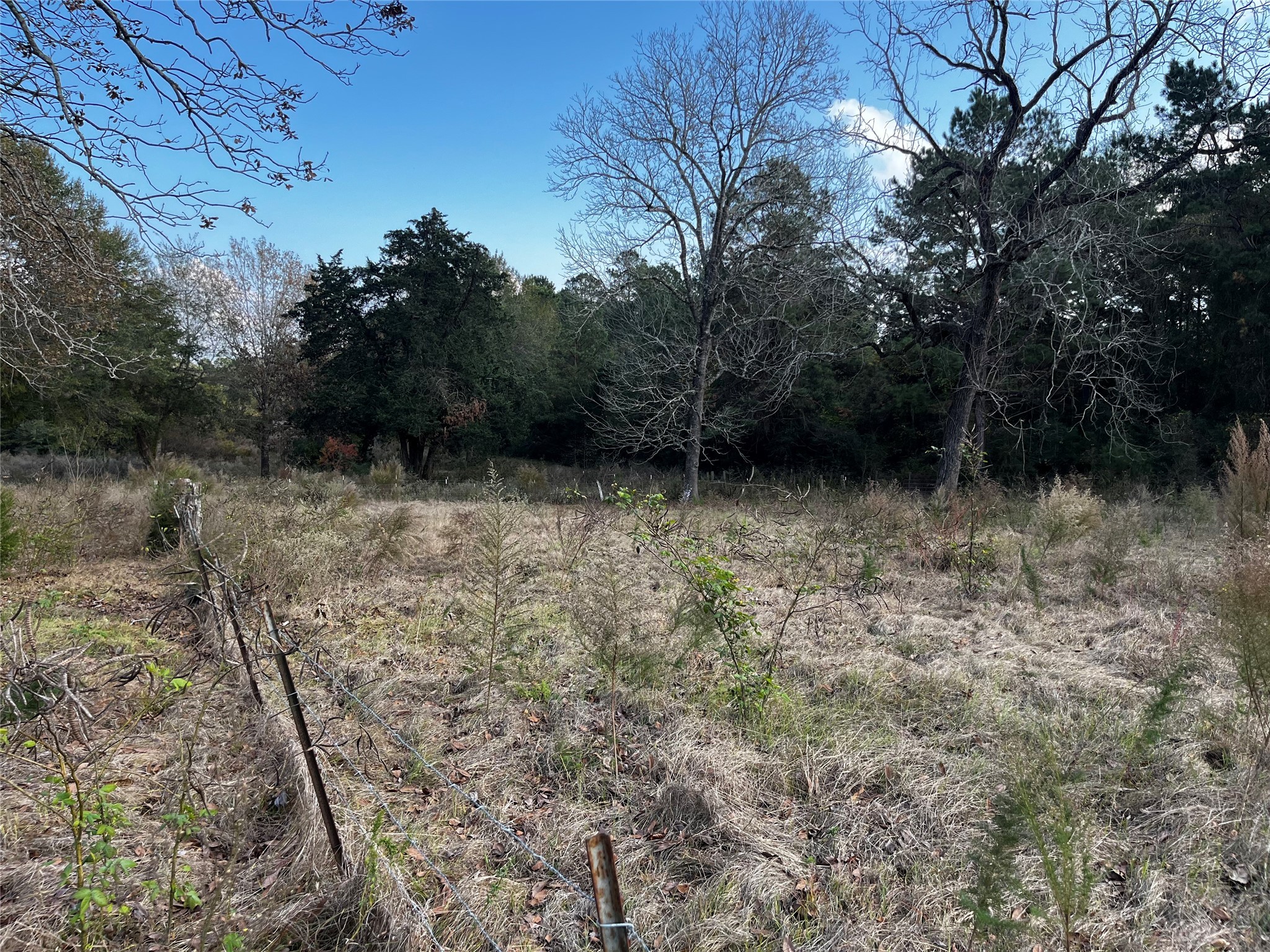 231 County Road 2190 Cleveland, TX 77327 - Photo 30 of 35 a view of outdoor space and yard
