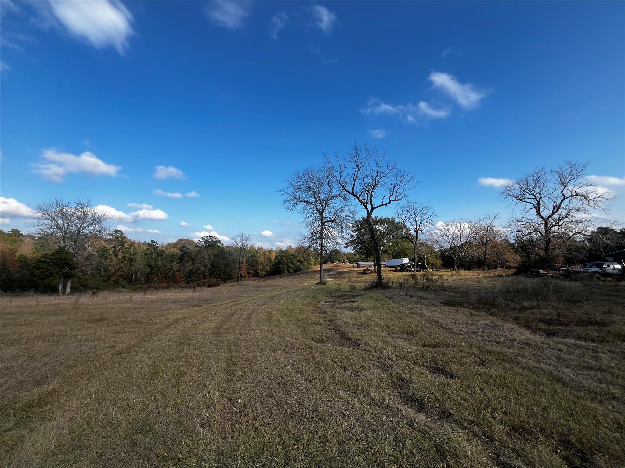 231 County Road 2190 Cleveland, TX 77327 - Photo 3 of 35 a view of dirt field with large trees