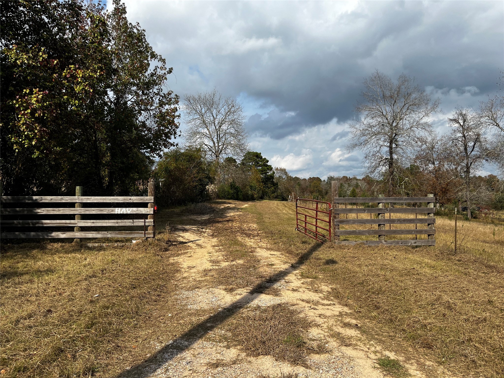 231 County Road 2190 Cleveland, TX 77327 - Photo 31 of 35 a view of a yard with wooden fence