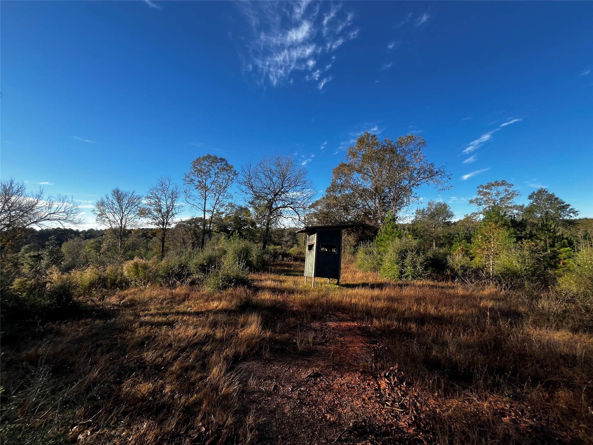 231 County Road 2190 Cleveland, TX 77327 - Photo 8 of 35 a front view of a house with a yard