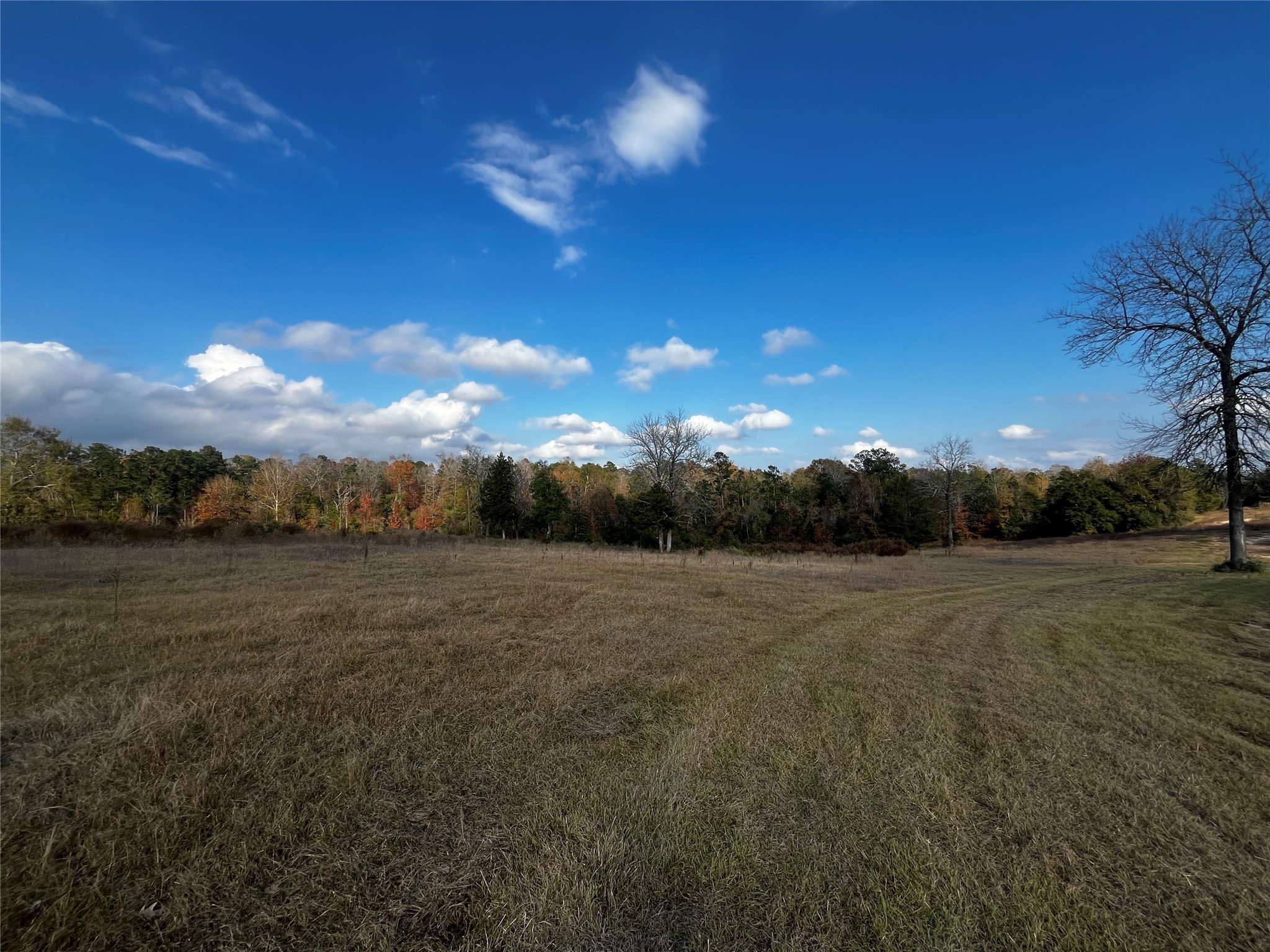 231 County Road 2190 Cleveland, TX 77327 - Photo 9 of 35