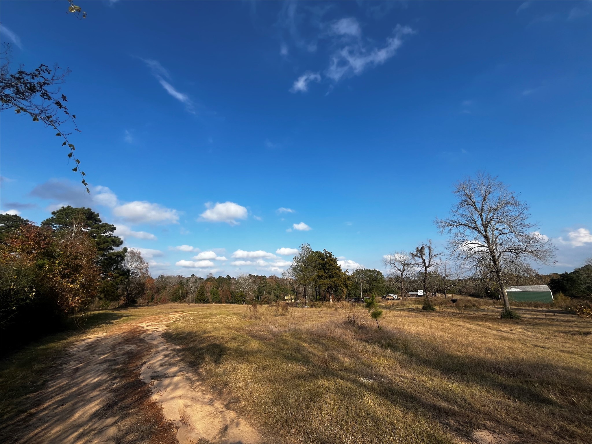 231 County Road 2190 Cleveland, TX 77327 - Photo 10 of 35 a view of a town with big tree