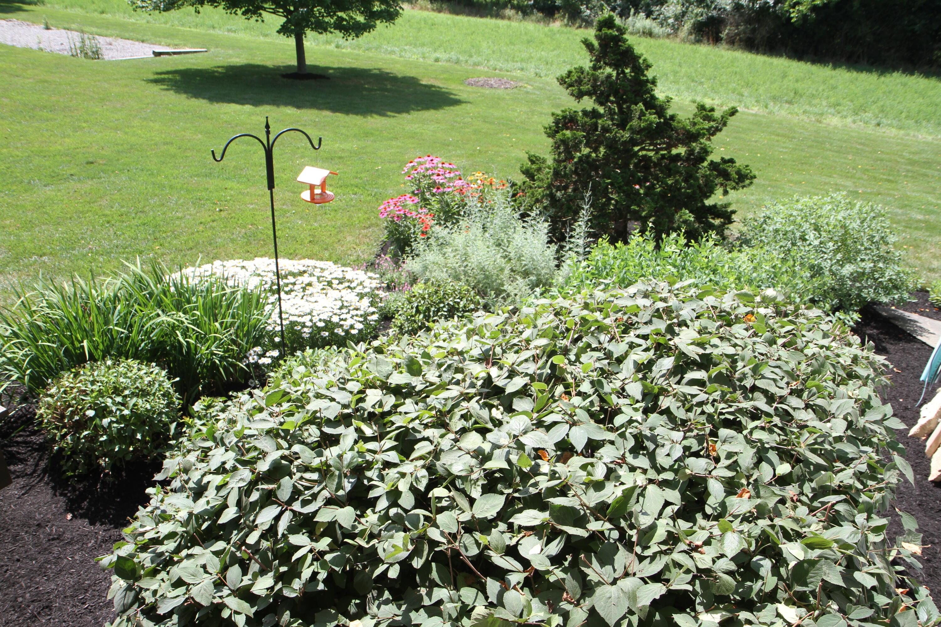 3771 Newhouse Road Ostrander, OH 43061 - Photo 25 of 62 IMG_7020