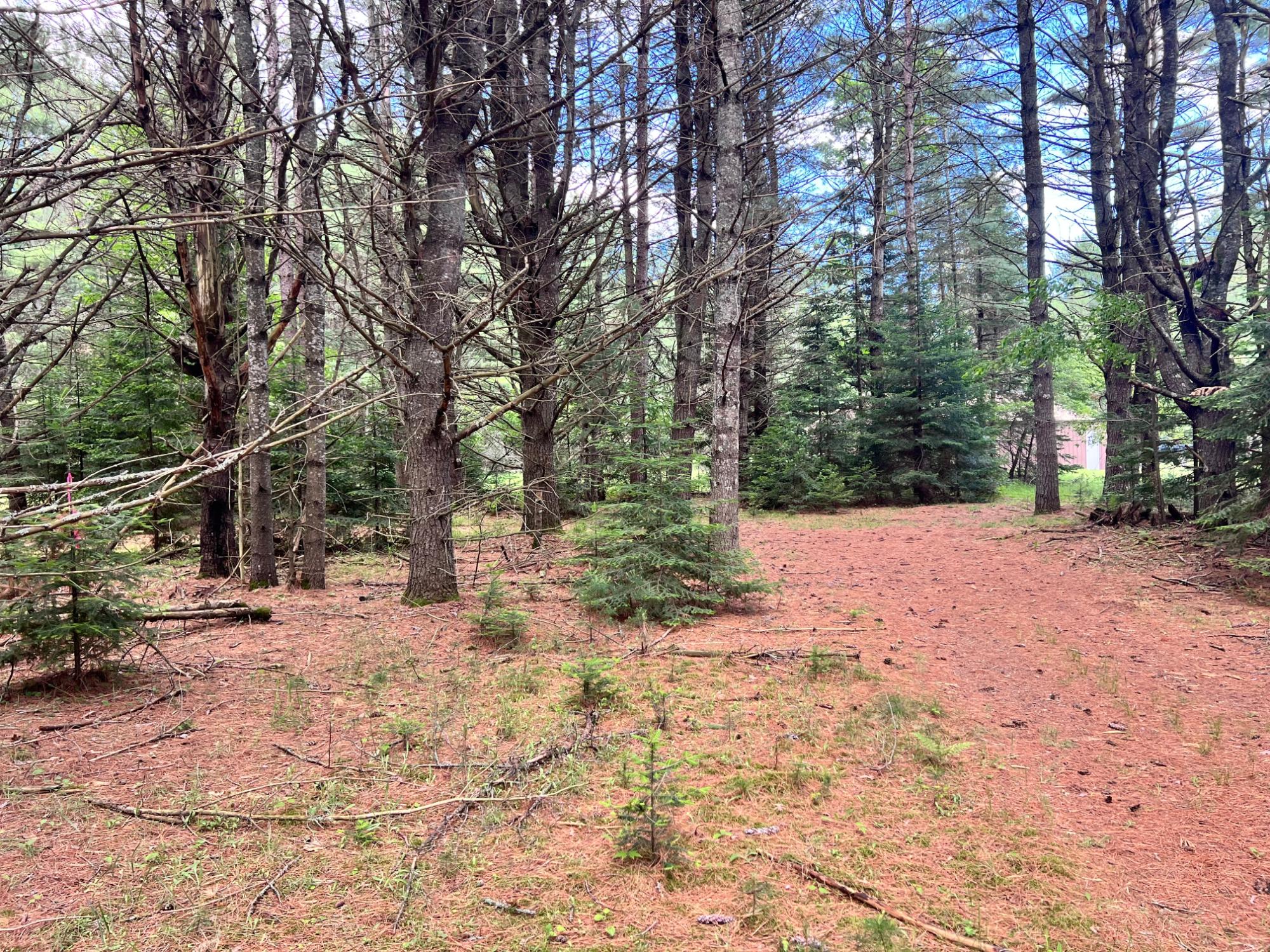Lot 5 Eagle Waters Road Rhinelander, WI 54501 - Photo 11 of 12 Gallery Image 11