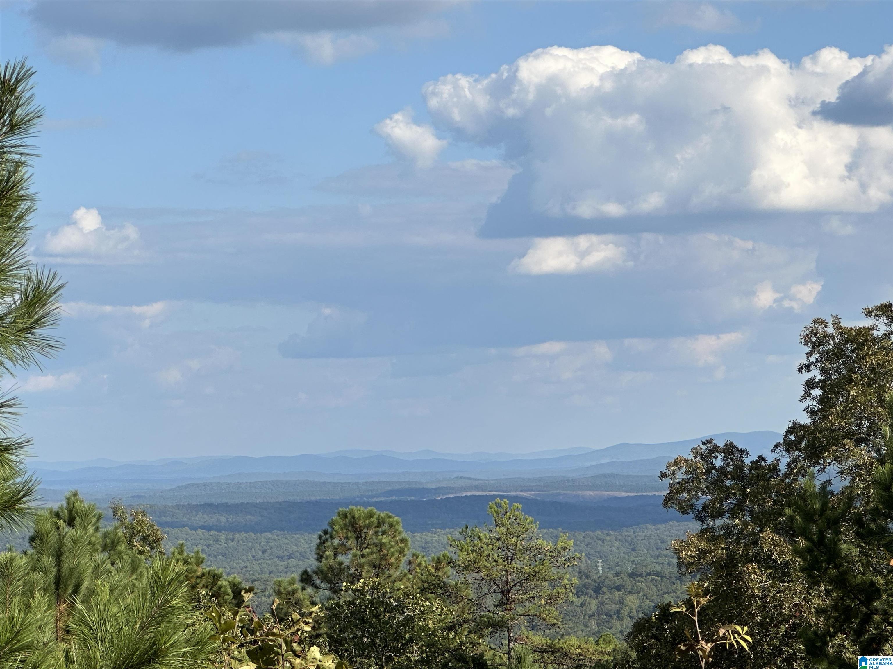 Eagle View, Unit 117 Leeds, AL 35094 - Photo 1 of 8