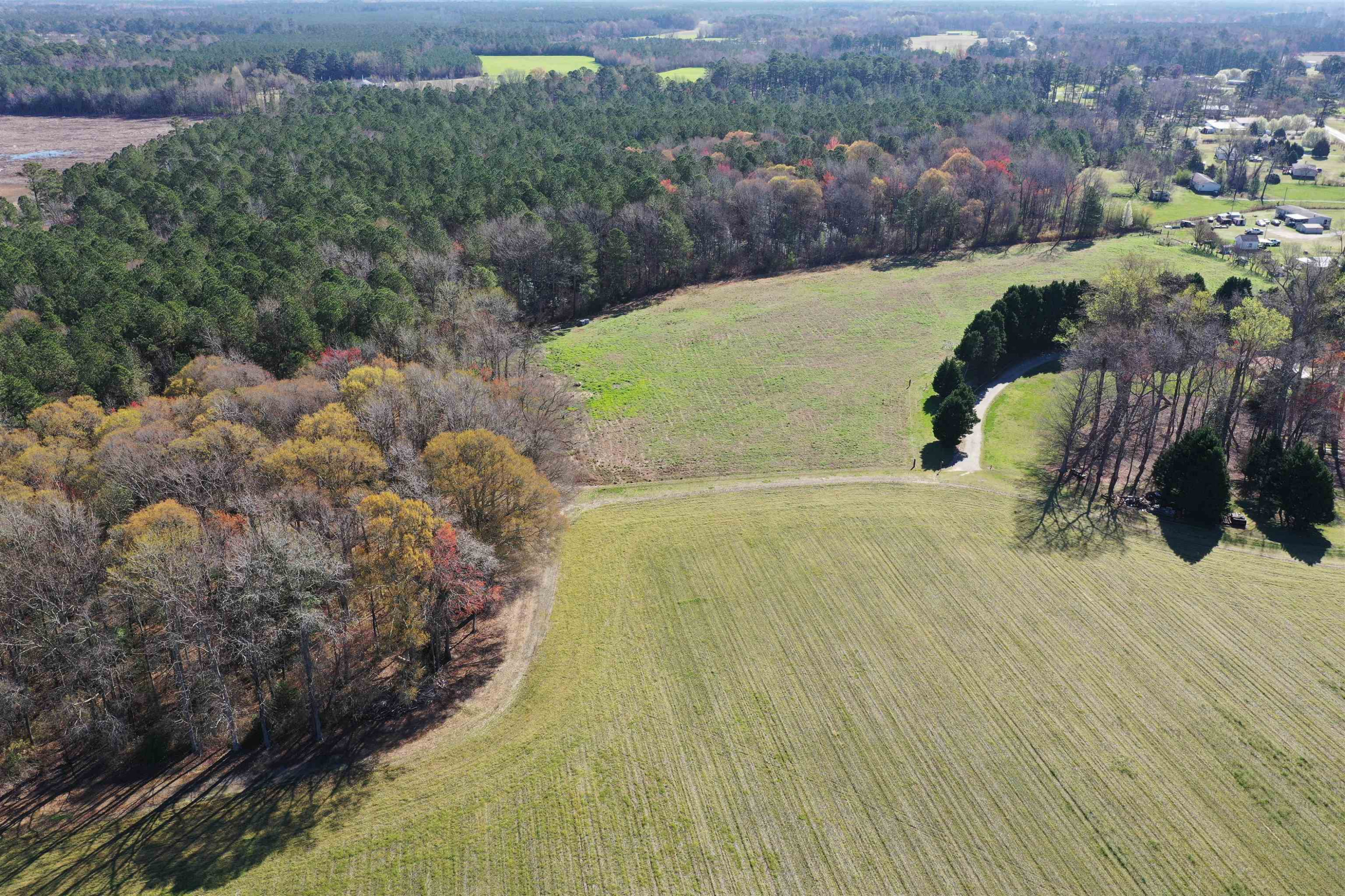 0 Reedy Branch Road Rocky Mount, NC 27803 - Photo 14 of 15 Photo 14