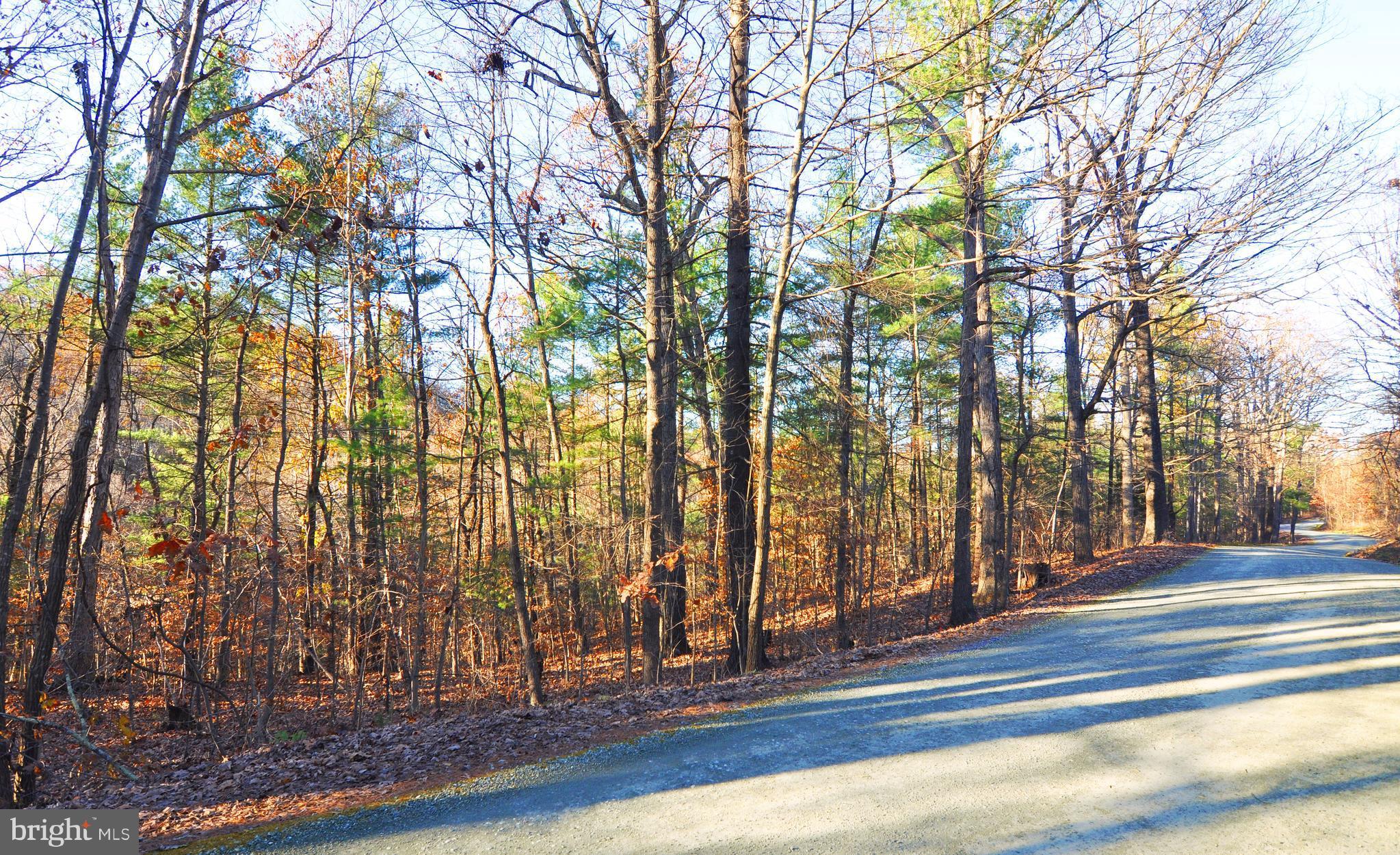 Lot 293 Drummer Hill Road Front Royal, VA 22630 - Photo 2 of 8