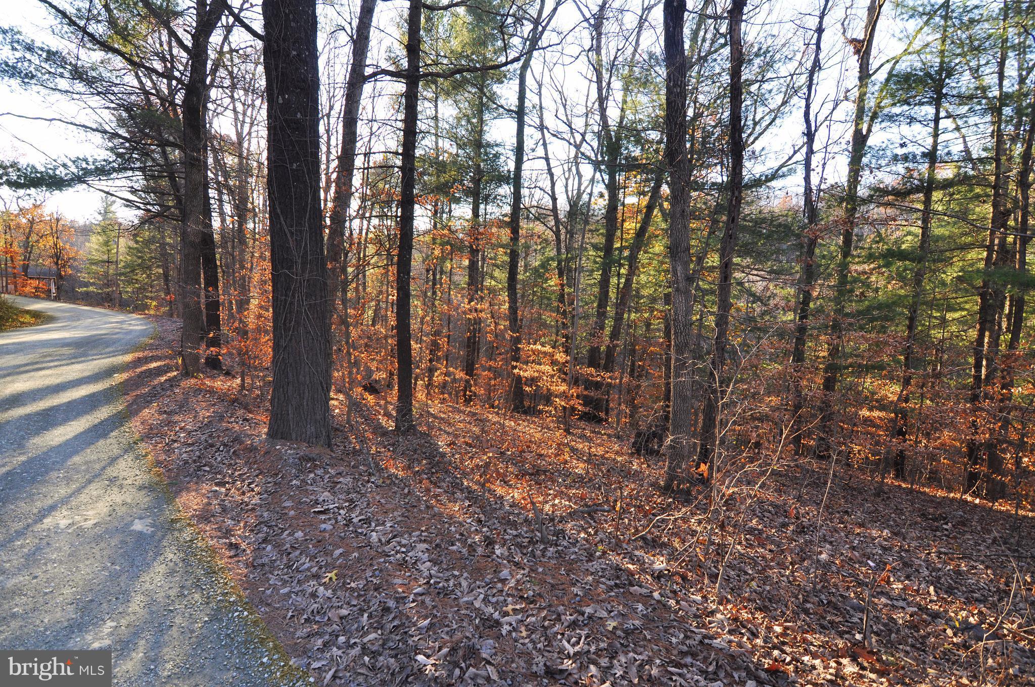 Lot 293 Drummer Hill Road Front Royal, VA 22630 - Photo 3 of 8 a view of outdoor space with lots of trees