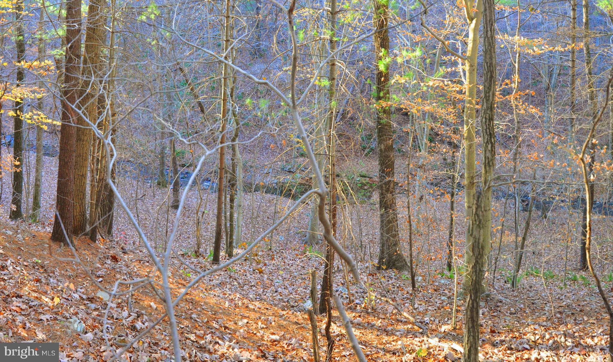 Lot 293 Drummer Hill Road Front Royal, VA 22630 - Photo 5 of 8 a view of a backyard of the house